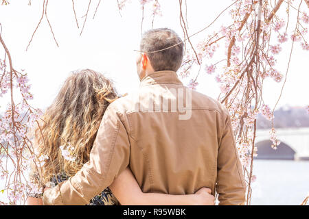 Coppia giovane donna e uomo in piedi sotto la fioritura dei ciliegi, sakura fiori, rami, albero, fiume Potomac in Washington DC con la luce del sole, luce brillante, h Foto Stock