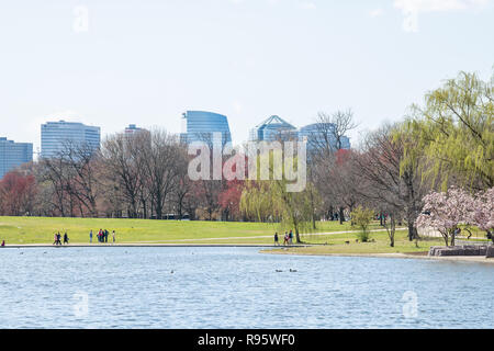 Washington DC, Stati Uniti d'America - Aprile 5, 2018: la gente che camminava sul National Mall, costituzione di giardini, stagno, acqua, Cherry Blossom Festival, sakura alberi con vie Foto Stock