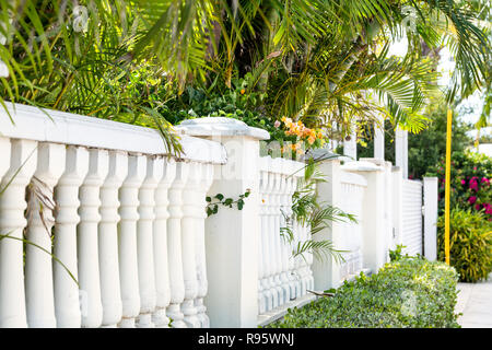 Pietra Bianca colonna, parete di colonne, recinzione, parete in zona residenziale con palme e cespugli verdi foglie, fiori in estate, giornata soleggiata con il marciapiede, st Foto Stock