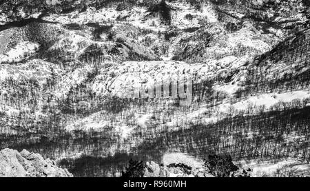 Abstract monochriome nero e bianco inverno paesaggio di pini sulle colline come visto dalla cima del monte Lovcen nel Parco nazionale di Lovcen, Montenegro Foto Stock