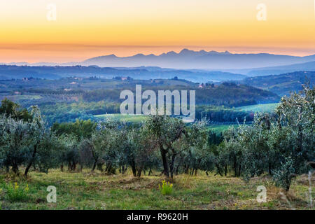 Paesaggio di campagna, vigneto nella regione del Chianti in Toscana a sunsen. Italia Foto Stock