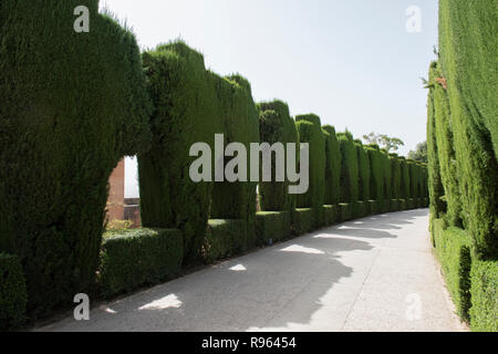 Splendida e lussureggiante giardino verde all'interno di Palazzo Alhambra di Granada, Spagna. La lussureggiante vegetazione sembra incredibile ed è bello durante il giorno. Alhambra Palace Foto Stock