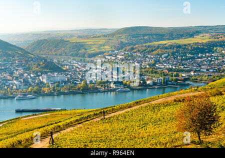 Vista di Bingen am Rhein da Rudesheim vigneti della Valle del Reno, Germania Foto Stock