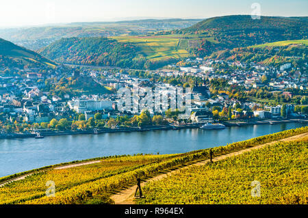 Vista di Bingen am Rhein da Rudesheim vigneti della Valle del Reno, Germania Foto Stock