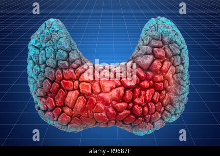 Visualizzazione 3d il modello CAD della tiroide umano, rendering 3D Foto Stock