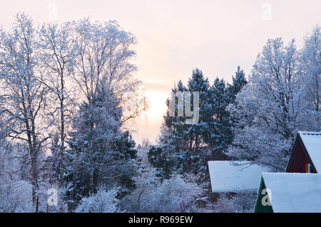 Immagine di stock. In inverno il paesaggio forestale nel crepuscolo. Rami di alberi e cespugli e i tetti delle case rurali in rime di ghiaccio. Foto Stock