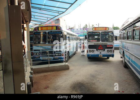 Negombo Bus Terminus Foto Stock