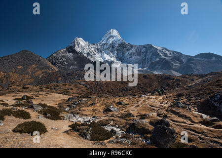 Trekking a Ama Dablam Campo Base Everest, regione, Nepal Foto Stock