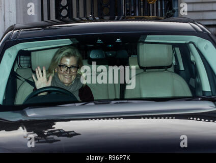 Londra, Regno Unito. 19 dicembre 2018. I membri della famiglia reale di partecipare al pranzo di Natale ospitato dalla regina a Buckingham Palace, London, Regno Unito. Xix Dicembre 2018 Sophie, Contessa di Wessex Credito: Jeff Gilbert/Alamy Live News Foto Stock