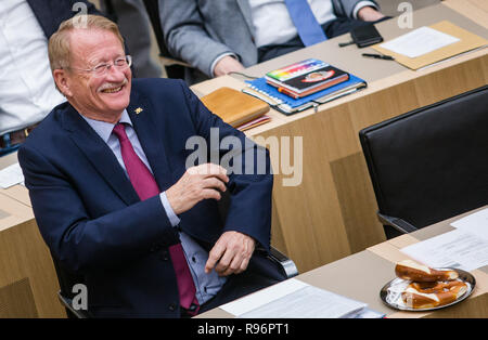 Stuttgart, Germania. Xx Dec, 2018. Wolfgang Drexler (SPD), ex vice-presidente del Baden-Württemberg, membro del Parlamento europeo, si siede nella sua sede nella sala plenaria e risate con i membri del partito. Drexler lascia dopo circa trenta anni il Parlamento dello stato federale di Baden-Wuerttemberg. Credito: Christoph Schmidt/dpa/Alamy Live News Foto Stock