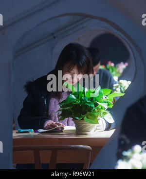 Huzhou, cinese della Provincia di Zhejiang. Xx Dec, 2018. Gli abitanti di un villaggio di leggere libri presso il book bar di una cultura e di un centro sportivo in Yangxiji township di Huzhou City, est della Cina di Provincia dello Zhejiang, Dic 20, 2018. Tre granai obsoleti con 50 anni di storia sono state trasformate in una cultura e centro sportivo durante un completo ambiente di campagna di miglioramento in Yangxiji Township. La cultura e il centro sportivo che consiste di cinema, piscina palestra e prenota bar è diventato il nuovo punto di riferimento nelle township. Credito: Xu Yu/Xinhua/Alamy Live News Foto Stock