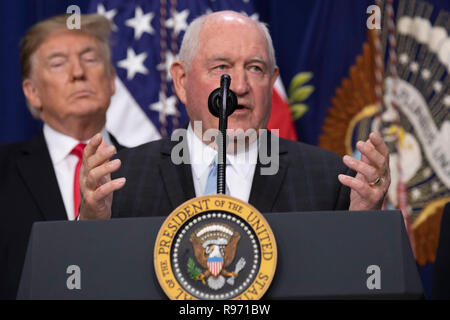 Washington, Stati Uniti d'America. Xx Dec, 2018. Segretario di Agricoltura Sonny Perdue offre commento prima il Presidente statunitense Donald Trump segni il Farm Bill in legge presso la Casa Bianca a Washington il 20 dicembre 2018. Credito: Alex Edelman/CNP | Utilizzo di credito in tutto il mondo: dpa/Alamy Live News Foto Stock