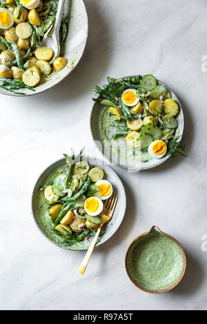 Dea verde insalata di patate Foto Stock
