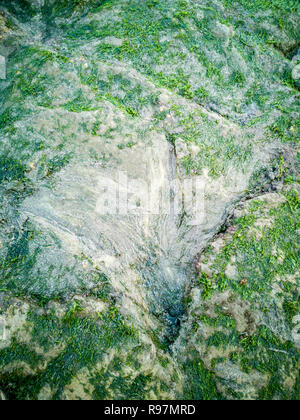 Il famoso dinosauro presso una spiaggia di Corran da Staffin sull'isola di Skye - Scozia Foto Stock