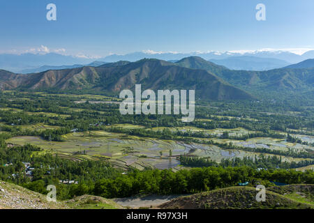 Lo splendido paesaggio della valle del Kashmir con campo di riso terrazze Foto Stock