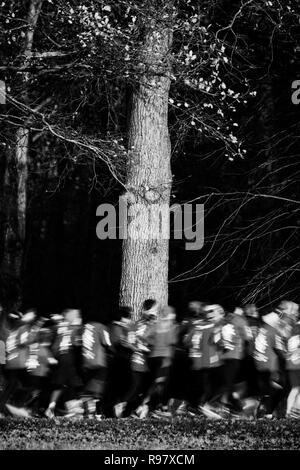 Gara podistica nel parco Foto Stock