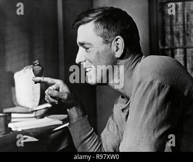 Pellicola originale titolo: Birdman of Alcatraz. Titolo inglese: Birdman of Alcatraz. Anno: 1962. Direttore: John Frankenheimer. Stelle: BURT LANCASTER. Credito: United Artists / Album Foto Stock