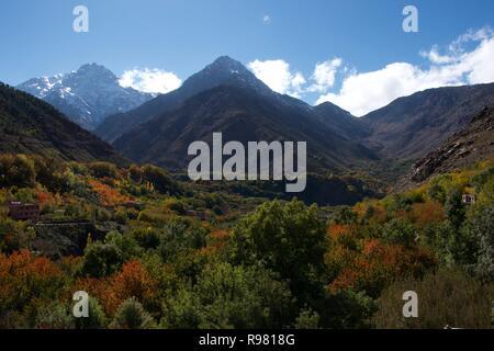 Foglie di autunno sparsi tra la boscosa valle di Imlil alle pendici dei monti Atlas in una giornata di sole, neve appena visibile sulla parte superiore della highe Foto Stock