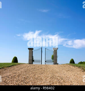 Gate decorativo in una campagna, Auvergne Rhone Alpes, Francia, Europa Foto Stock