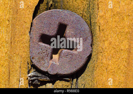 La vecchia vite in un asse di legno Foto Stock