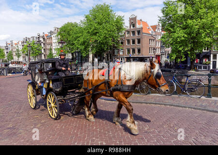 Carro trainato da cavalli in Amsterdam, Paesi Bassi Foto Stock