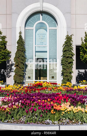 Giardini paesaggistici che presenta i tulipani, narcisi e pansies, sui terreni del monte Timpanogos LDS tempio in Utah. Foto Stock