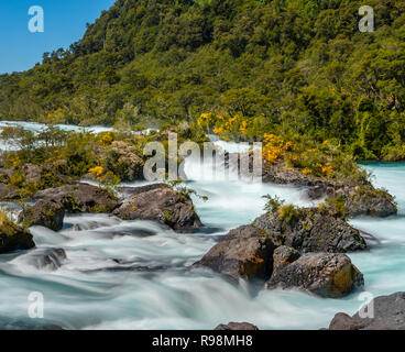 Rapide del Fiume Petrohue in Vicente Perez Rosales National Park. Foto Stock