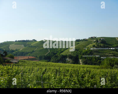 Vista sulle Langhe Occidentali vicino a Neive, Piemonte - Italia Foto Stock