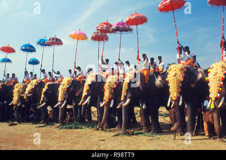 Pooram Festival, Trichur, Kerala, India Foto Stock