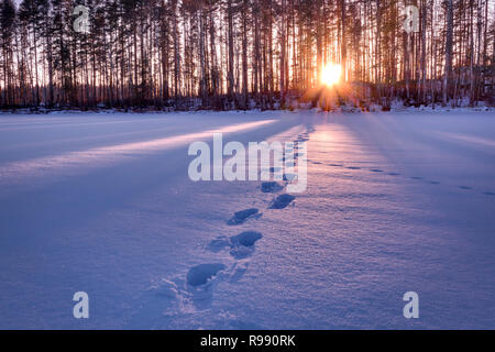 Orme nella neve che conduce verso il tramonto dietro alberi HDR shot. Foto Stock