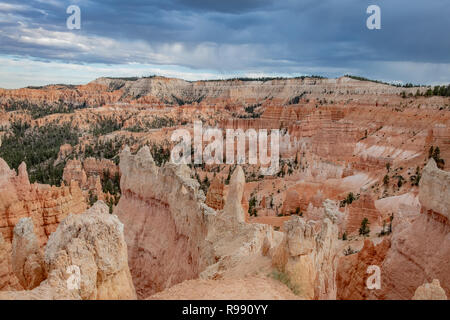 Sagomato a cuspide delle formazioni rocciose note come hoodoos a Bryce Canyon National Park nello Utah, Stati Uniti d'America Foto Stock