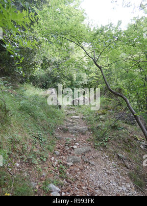 Percorso di montagna in Val Nervia vicino al Rio Barbaira stream, Rocchetta Nervina, Liguria - Italia Foto Stock