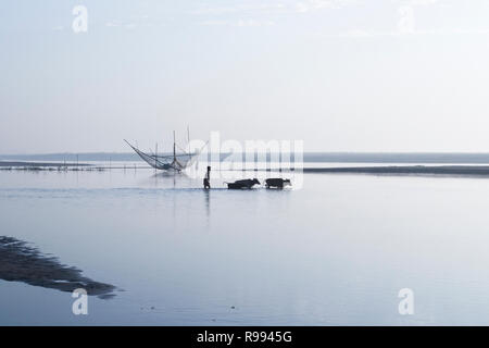 Assam, India. La mattina presto su Majuli Island Foto Stock