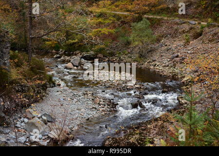 Afon Mawddach/River Mawddach in autunno Foto Stock