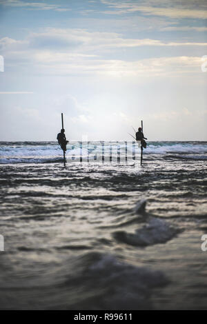 Stilt pescatori in Ahangama costa, Sri Lanka Foto Stock