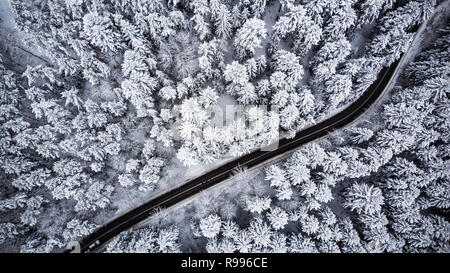 In auto attraverso la foresta d'inverno,vista aerea. Foto Stock