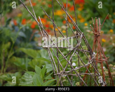 Permacultura giardino con fagioli e fiori Foto Stock