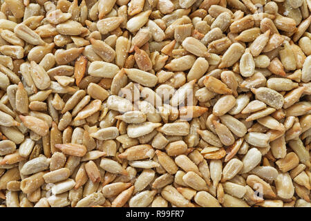 Salata arrosto girasole sullo sfondo Foto Stock