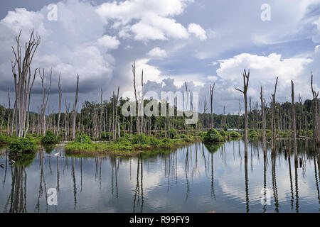 Foresta allagata di Nam Theun 2 serbatoio sul Plateau Nakai in Laos Foto Stock