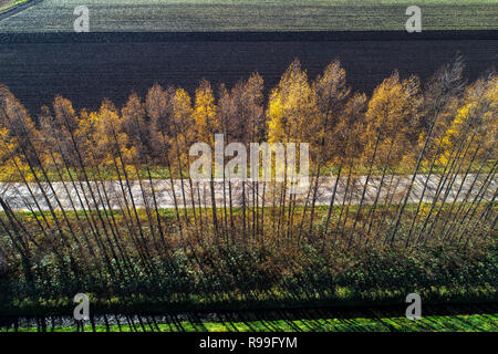 La fotografia aerea di Tokachi in autunno, Hokkaido, Giappone Foto Stock