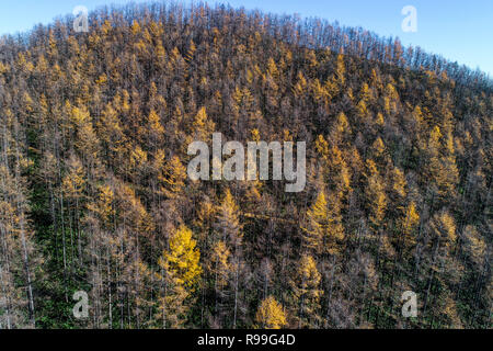 La fotografia aerea di Tokachi nel tardo autunno, Hokkaido, Giappone Foto Stock