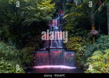 Festival delle luci nel parco Pukekura, New Plymouth, Nuova Zelanda Foto Stock