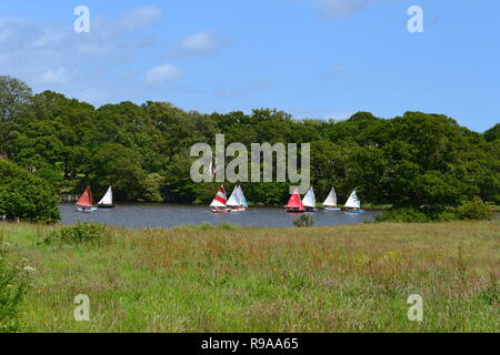 Barche a vela sul fiume Beaulieu vicino Buckler è rigido e nuova foresta, Hampshire, Regno Unito Foto Stock