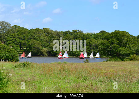 Barche a vela sul fiume Beaulieu vicino Buckler è rigido e nuova foresta, Hampshire, Regno Unito Foto Stock