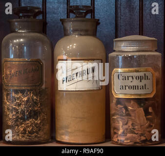 New Orleans, Louisiana, Stati Uniti d'America. Xx Dec, 2018. Louis Dufilho, America la prima licenza il farmacista, azionato il suo farmacista shop di Chartres Street a New Orleans" del quartiere francese quartiere. Oggi, lo speziale shop ospita il Museo della Farmacia di New Orleans, che ospita la più grande collezione farmaceutica negli Stati Uniti. Credito: Brian Cahn/ZUMA filo/Alamy Live News Foto Stock