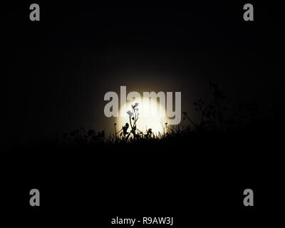 Leysdown, Kent, Regno Unito. Il 22 dicembre, 2018. Regno Unito Meteo: la piena "cold" Moon Rising in Leysdown, Kent stasera. Credito: James Bell/Alamy Live News Foto Stock
