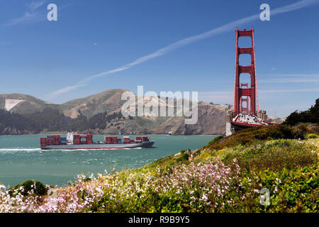 Stati Uniti, California, San Francisco, una vista del Golden Gate Bridge dall'estremità sud, una nave portacontainer si prepara a passare sotto Foto Stock