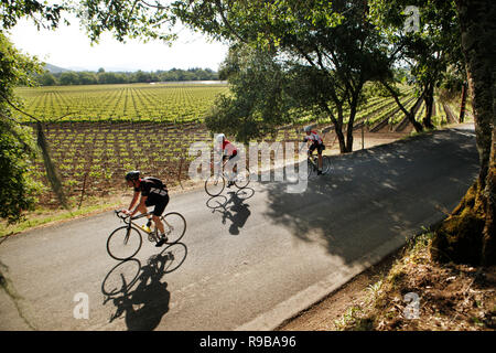 Stati Uniti, California, Healdsburg, un gruppo di ciclisti in Dry Creek Road vicino a Sonoma County Foto Stock