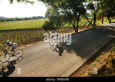 Stati Uniti, California, Healdsburg, un gruppo di ciclisti in Dry Creek Road vicino a Sonoma County Foto Stock