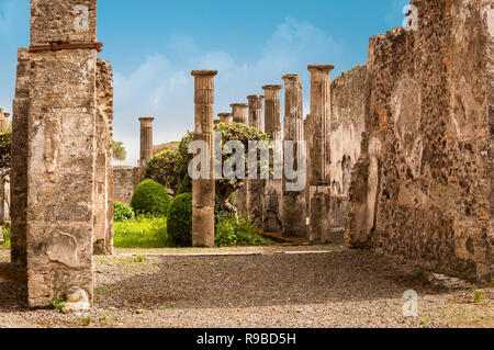 Pompei: albero e colonne in un cantiere. Resti di Pompei antica città distrutta dalla eruzione del vulcano Vesuvio, Italia Foto Stock